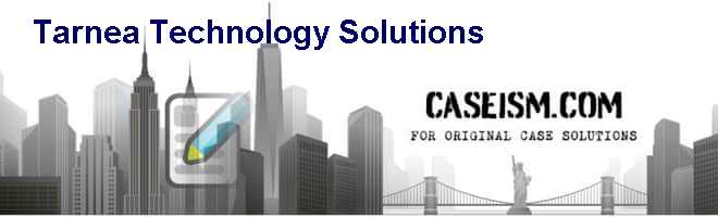 Tarnea Technology Solutions Case Solution Tarnea Technology Solutions Case Solution